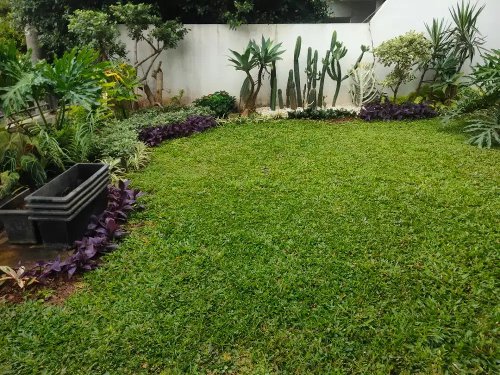 Tukang Rawat Taman Panggilan