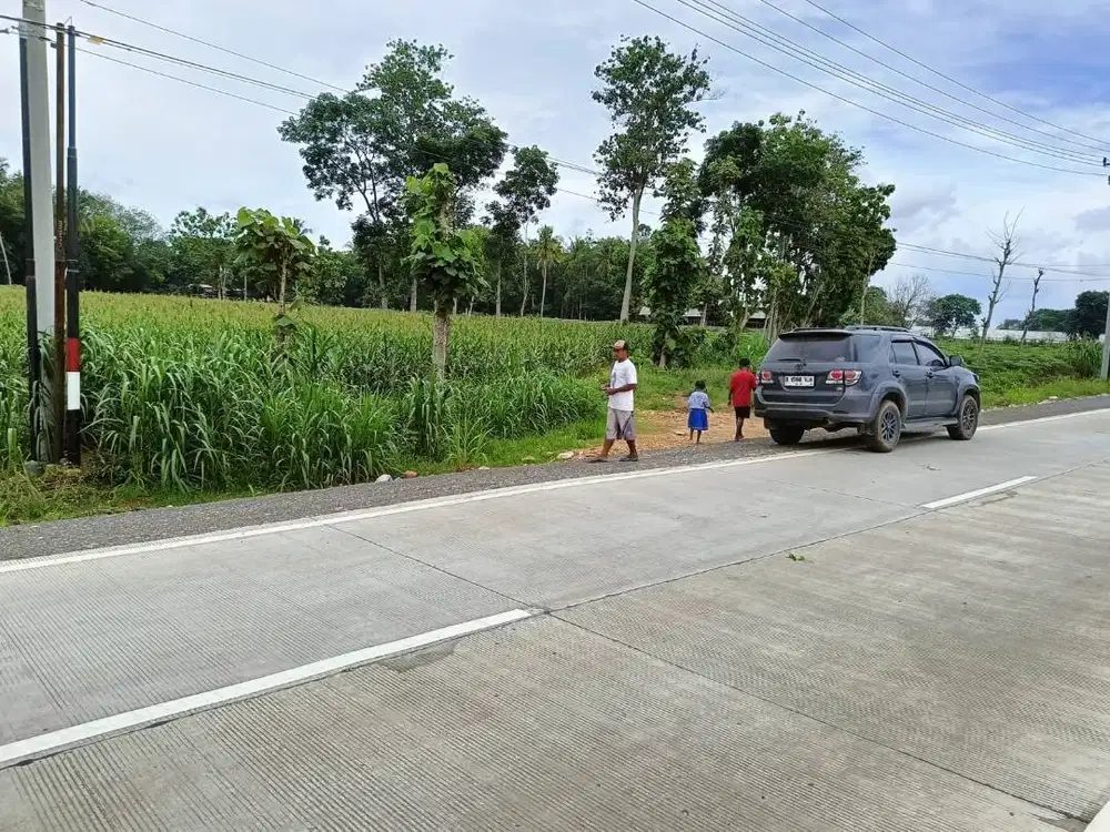 TANAH DIPINGGIR JALUR DUA ITERA DIJUAL MURAH