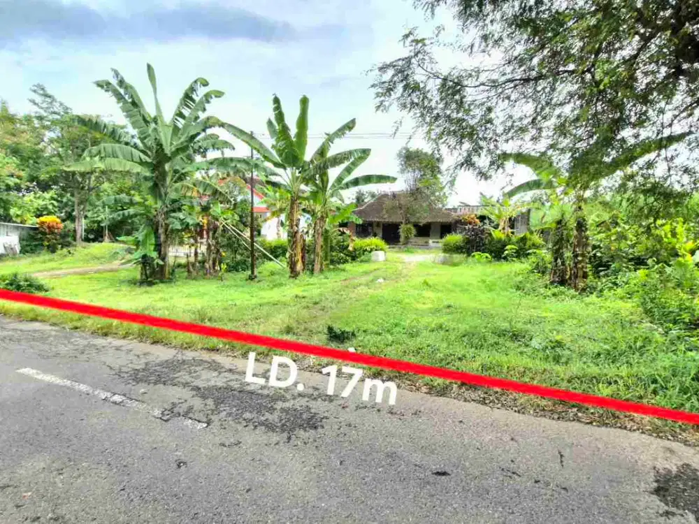 Tanah Pekarangan murah luas 976m² lokasi sejuk dekat jl solo tawangmangu