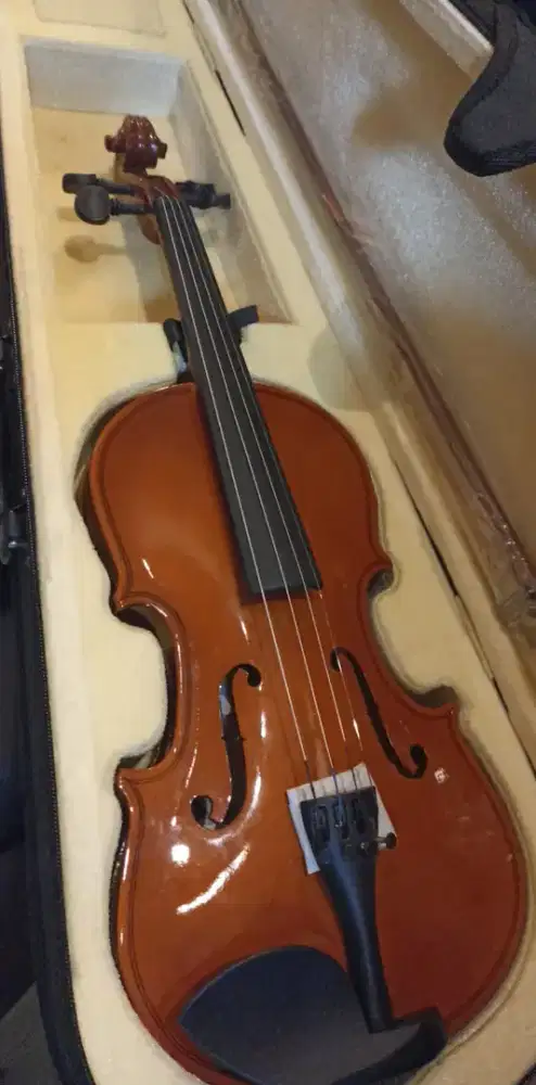 Biola solid wood 4/4