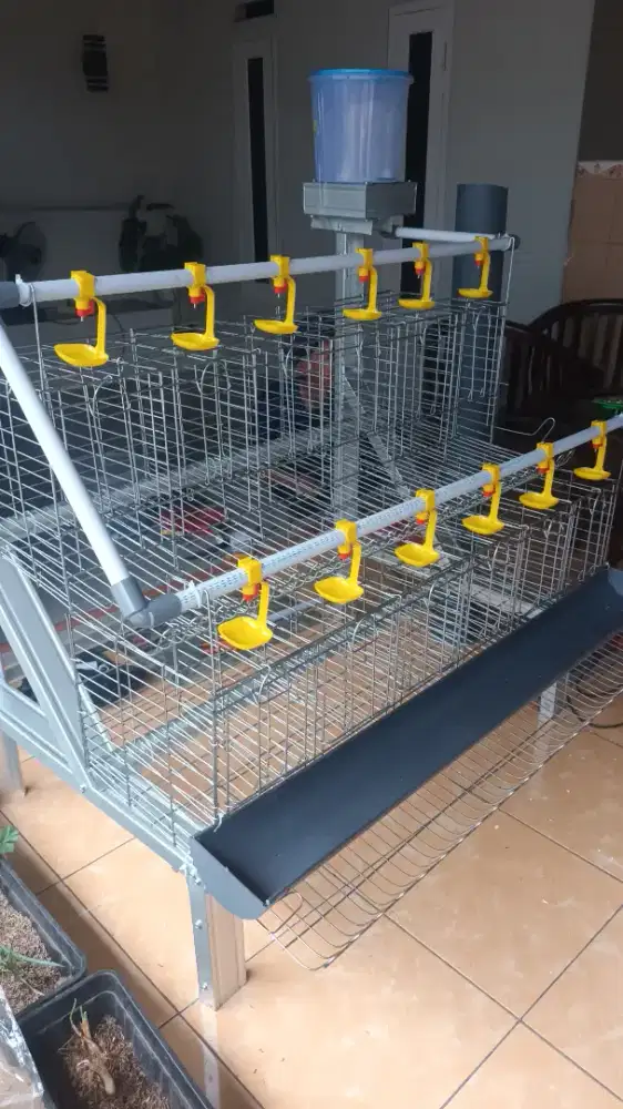 Fullset kandang + ayam 16 ekor