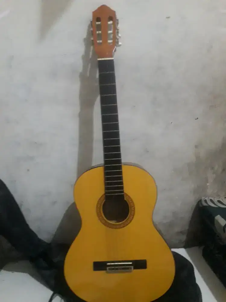 Gitar yamaha c315