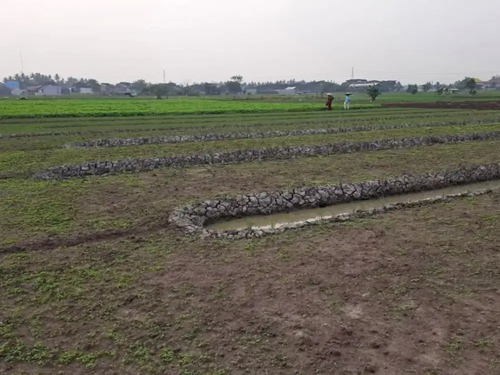 Dijual Tanah 4000 m2 Siap Garap di Sepatan Timur, Tangerang