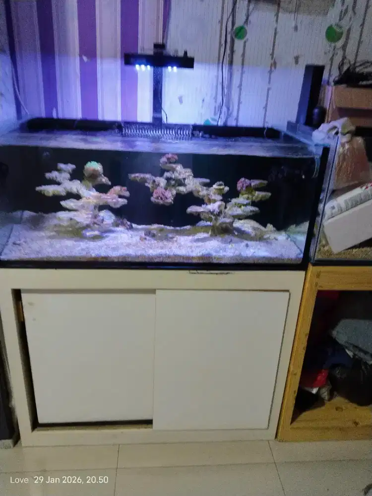 Aquarium laut fullset 100cm