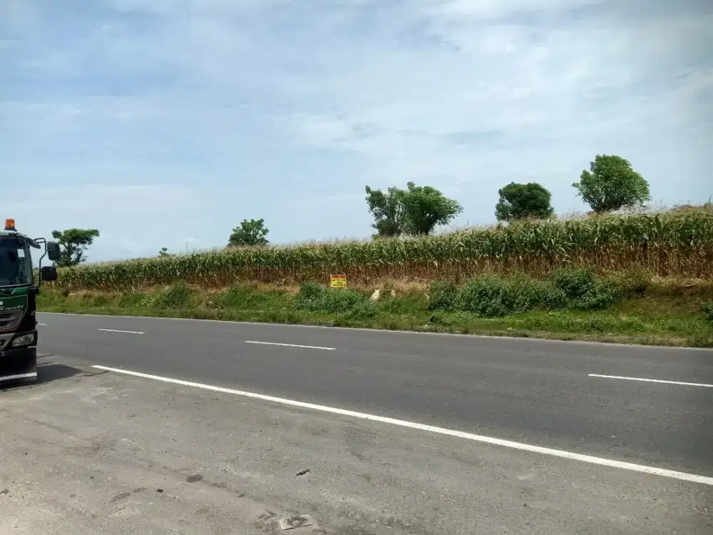 Di jual Tanah Jln KH Abdul Wahab prunggahan kulon Tuban (Ring Road)