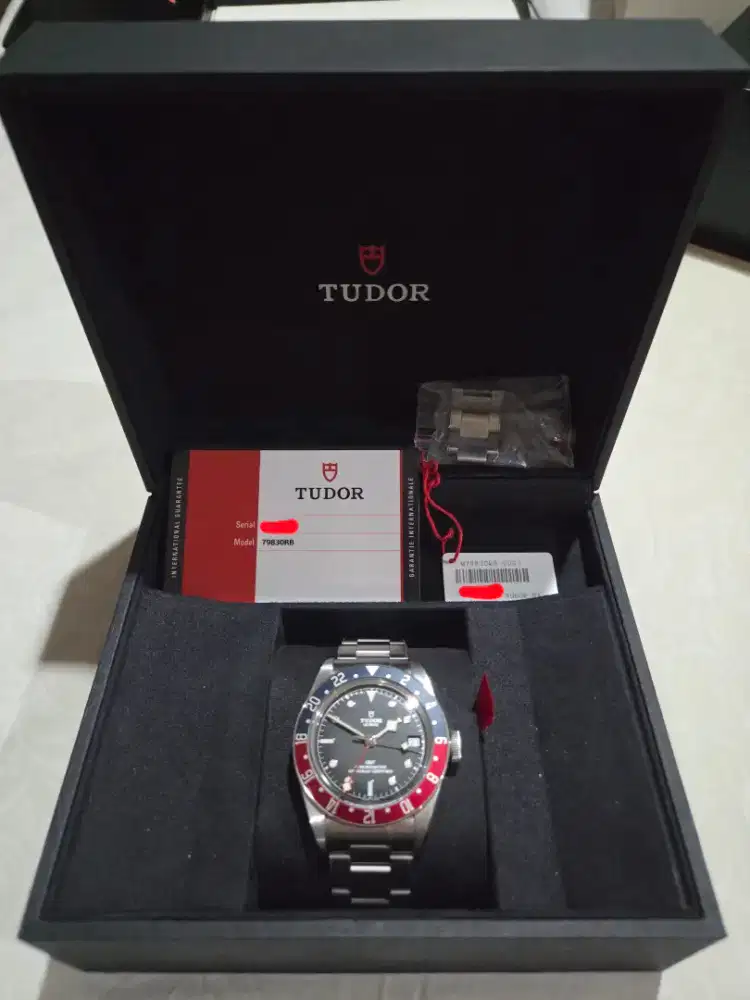 Tudor Black Bay GMT pepsi
