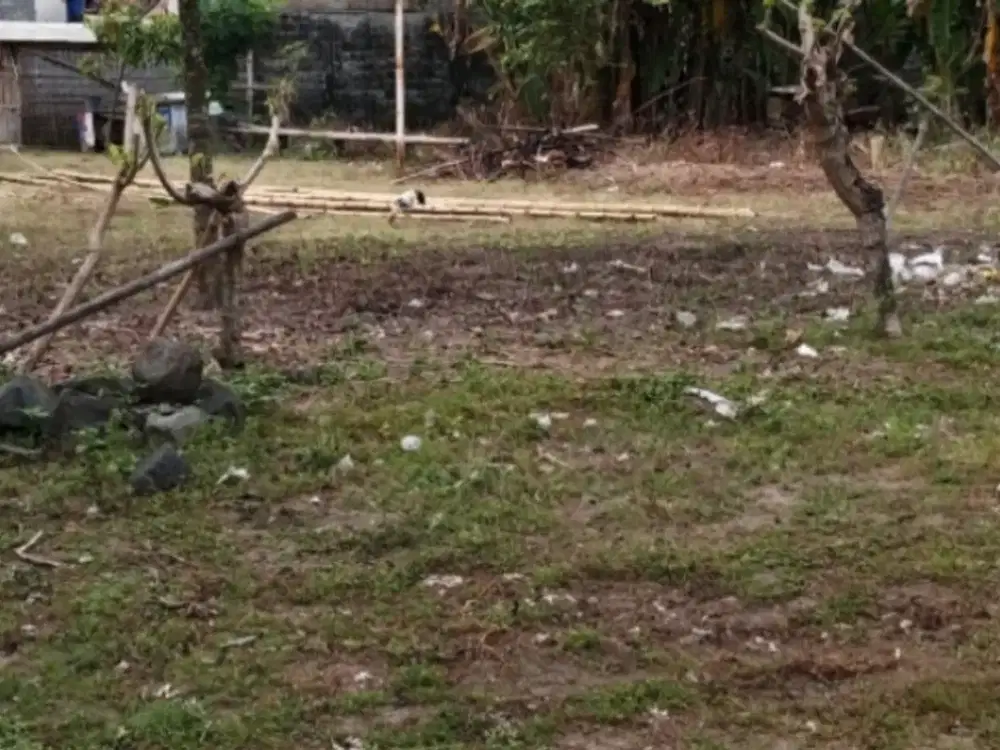 TANAH  DEKAT JALAN RAYA KALASAN