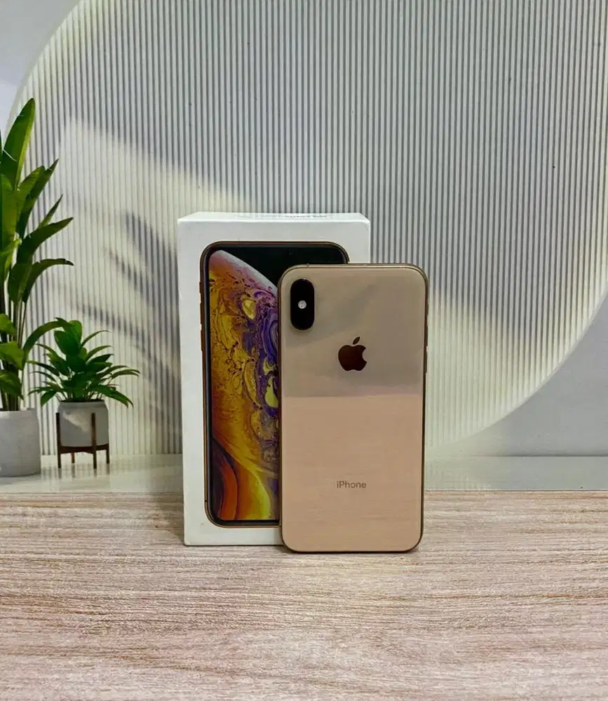 iPhone Xs 256GB Gold inter whitelist