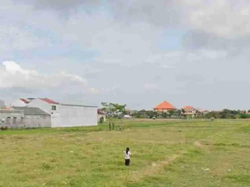 Tanah Murah 1 Hektar Jalan Utama Dukuh Sari Sesetan