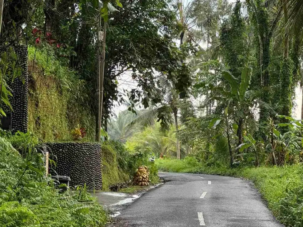Tanah Cantik View Jungle Sawah Kenderan Ubud