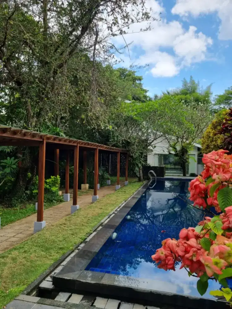 Jual Rumah di Pandowoharjo Sleman