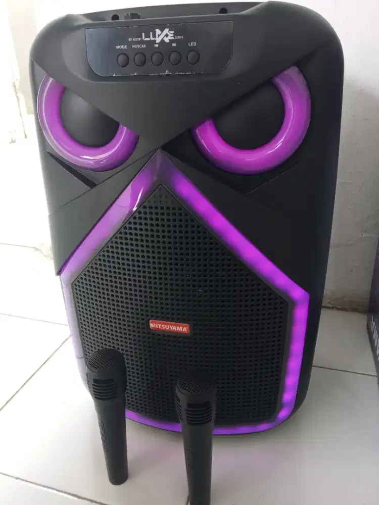 Speaker karaoke 12 in bluetooth