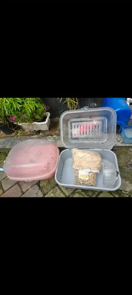 Kandang hamster dll