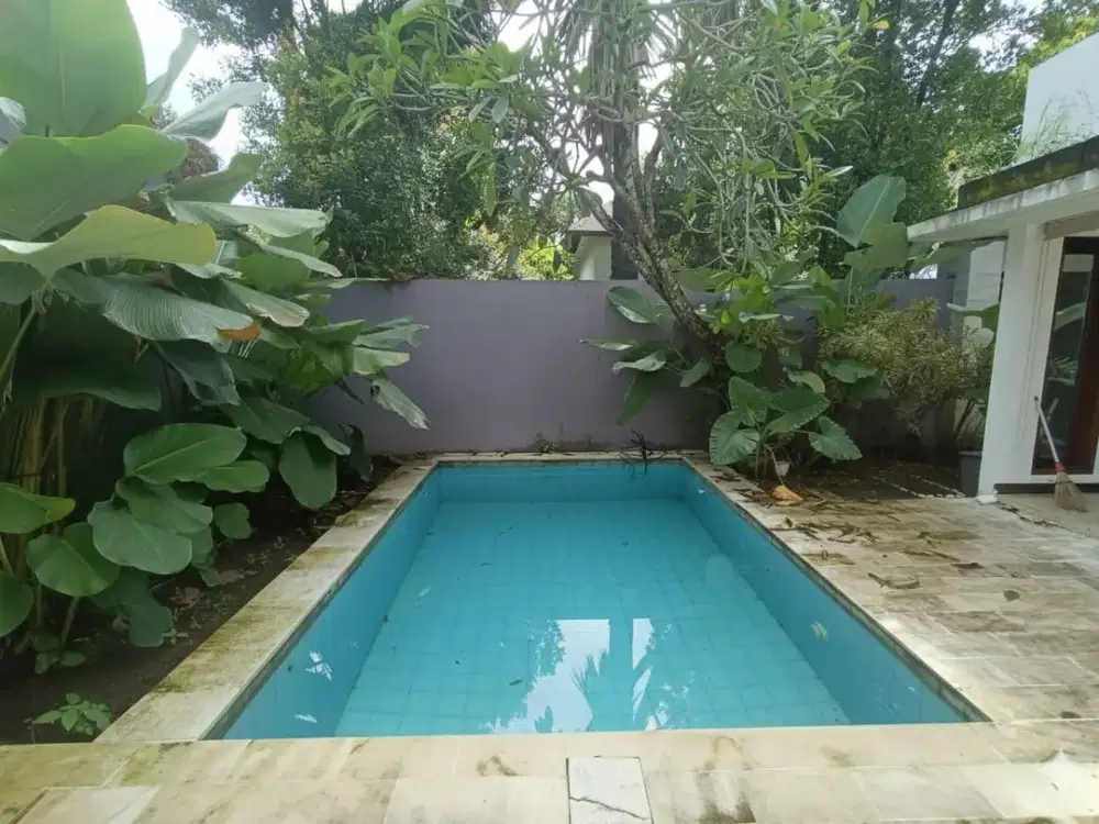 For rent 1 bedroom villa in Umalas, Kerobokan