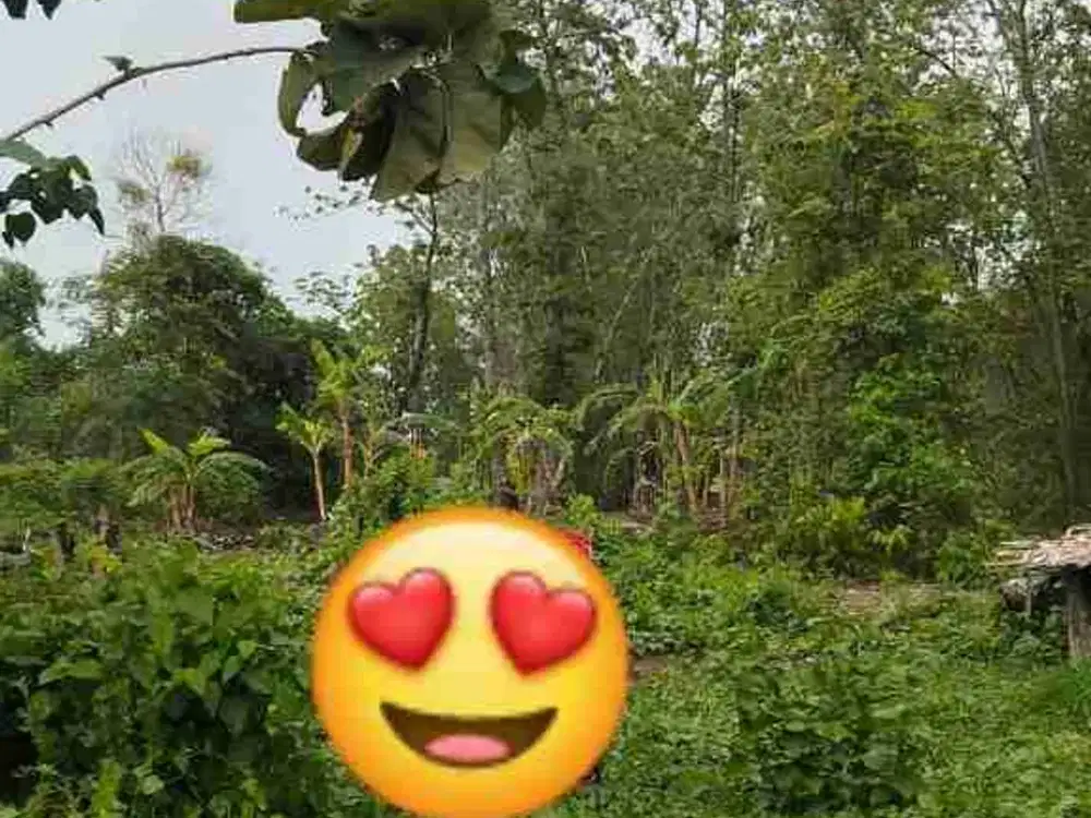 Tanah Dijual 3,5jt/mtr Bangkingan Surabaya Barat