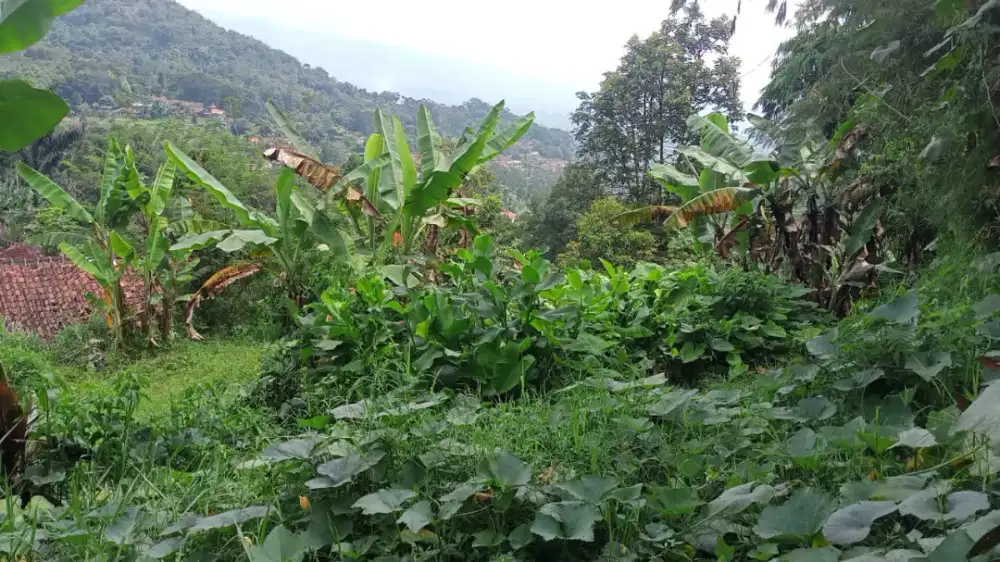 Jual tanah murah (surat ajb kecamatan)menghadap alun alun ciwidey