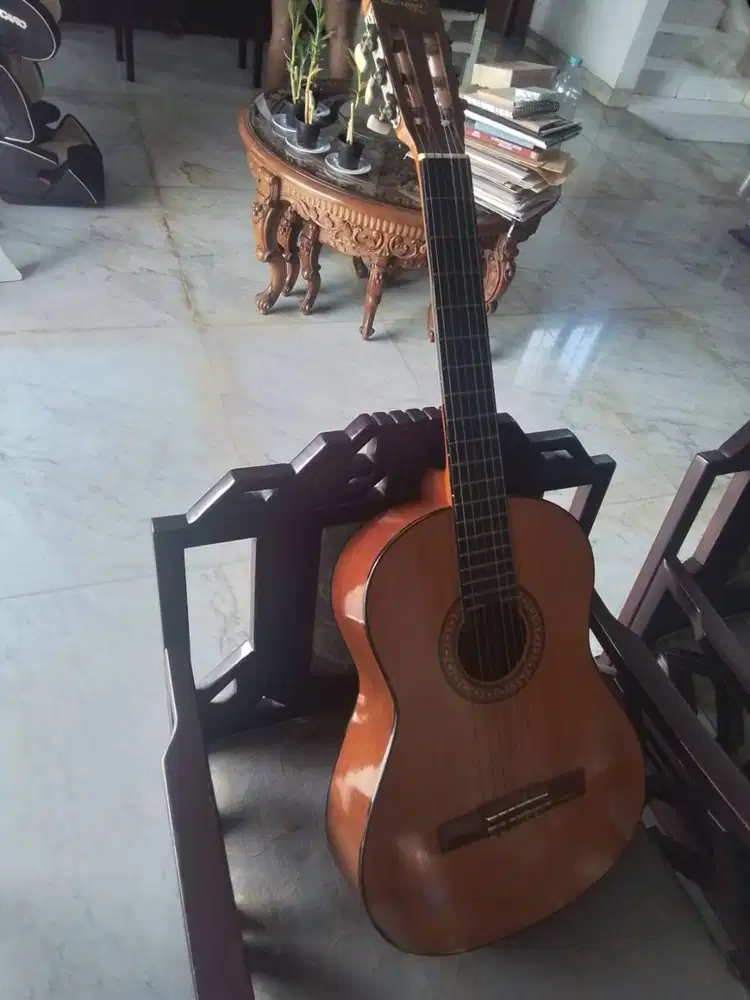 Bisa Nego - Gitar Merk Rockson