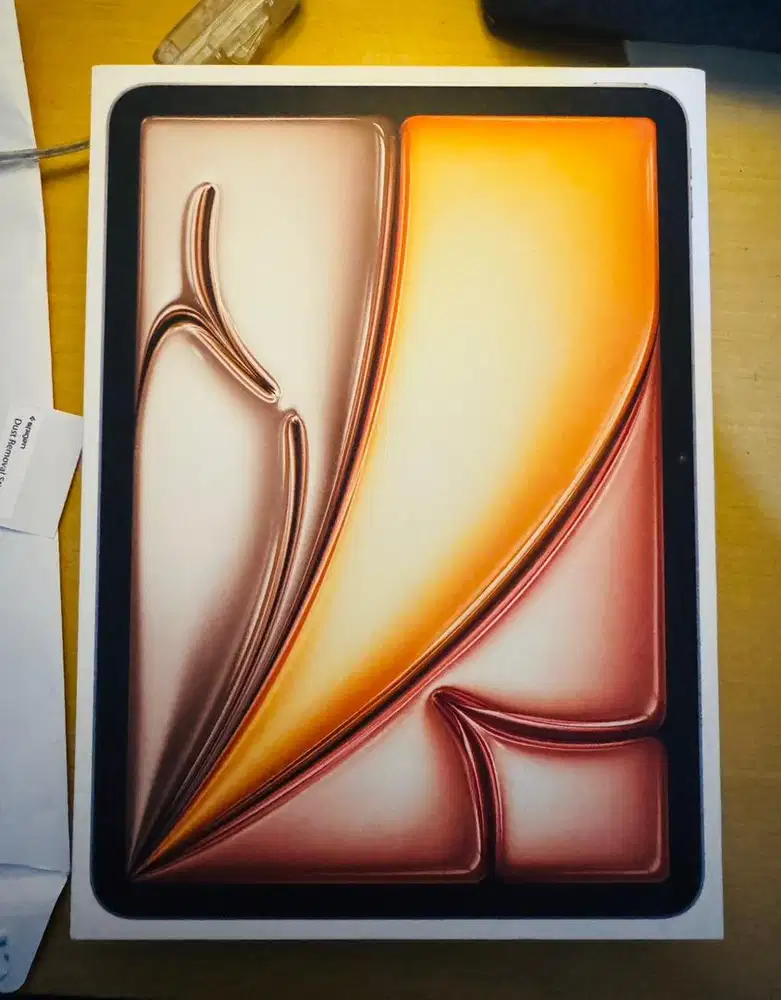 iPad Air M3 256 Segel Box