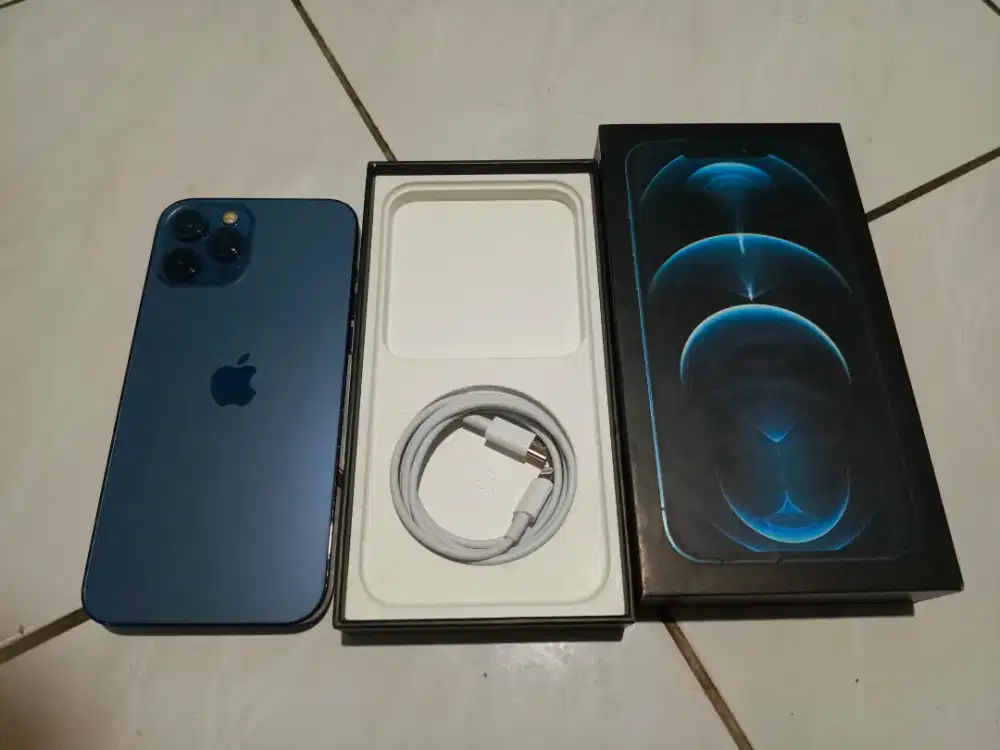 Iphone 12 pro max 256 gb second digimap