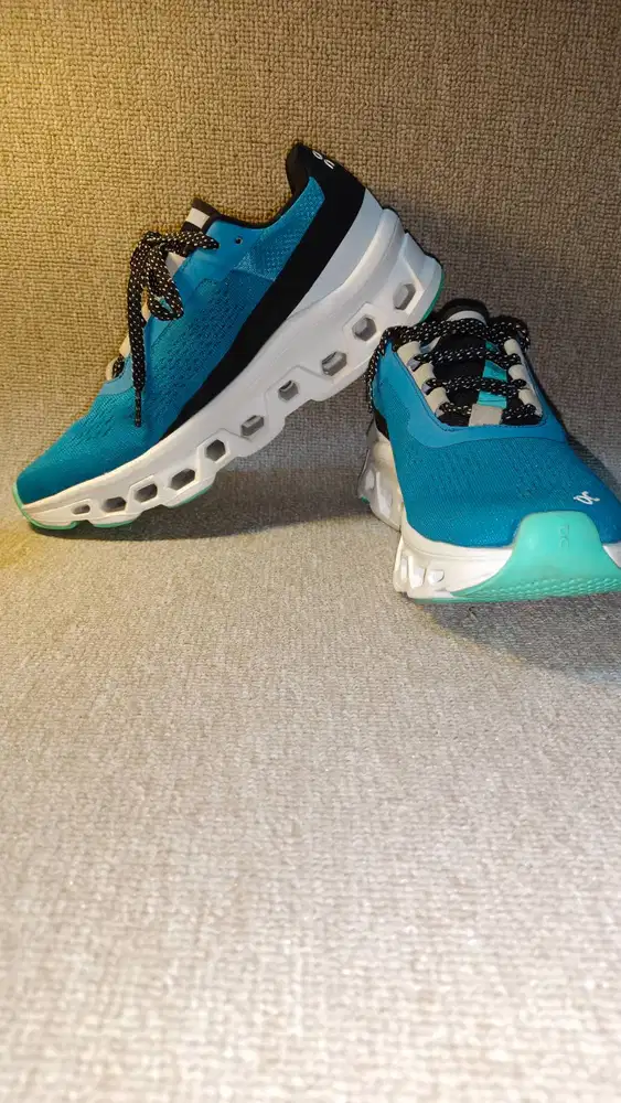 Sepatu Oncloudmaster Running Insole 23  (37)