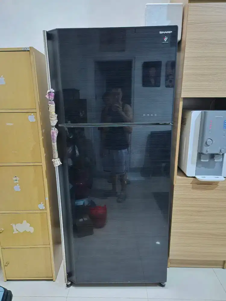 Kulkas Sharp 2 pintu