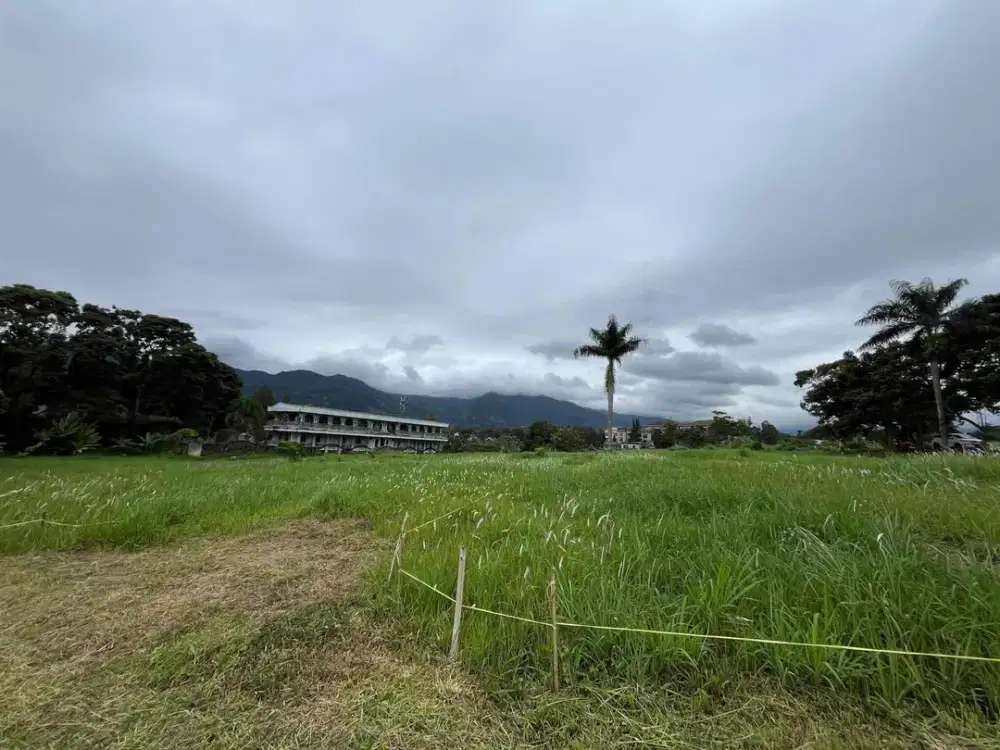 Tanah dekat jalan raya utama puncak