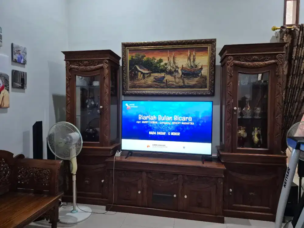 SONY GOOGLE TV 55INCH PROMO