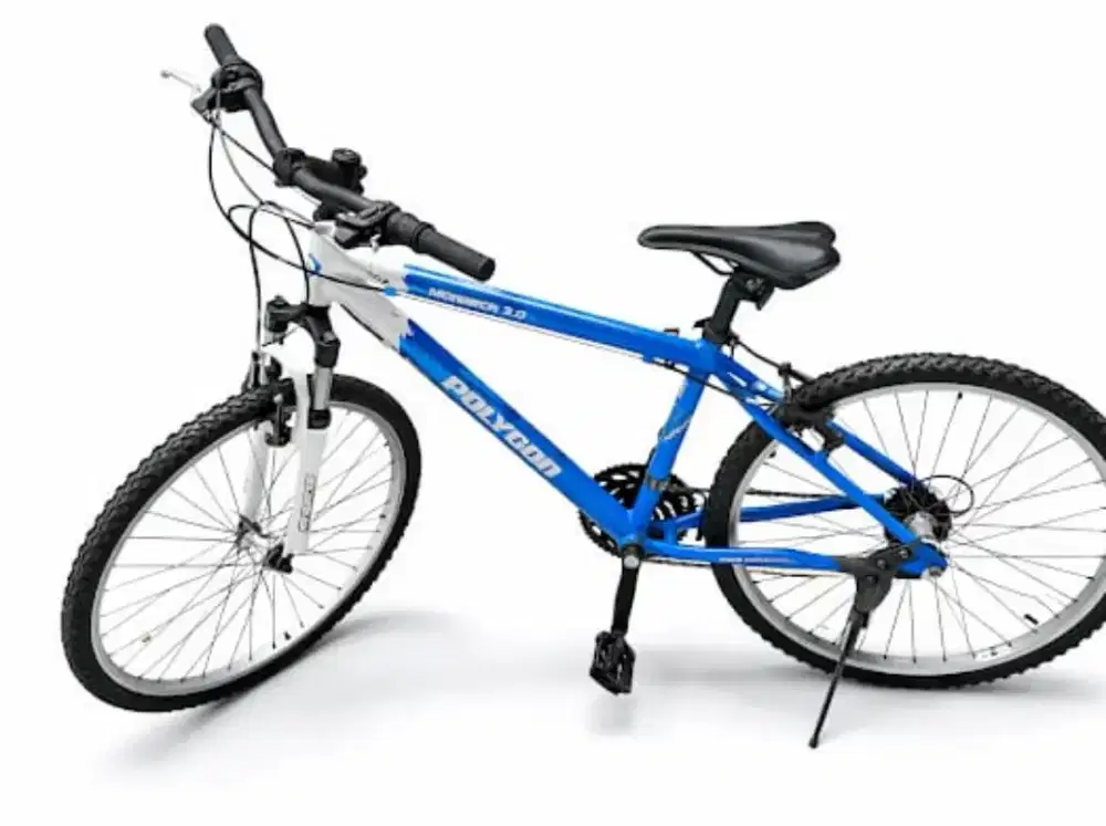 Sepeda Polygon Monarch 3.0
