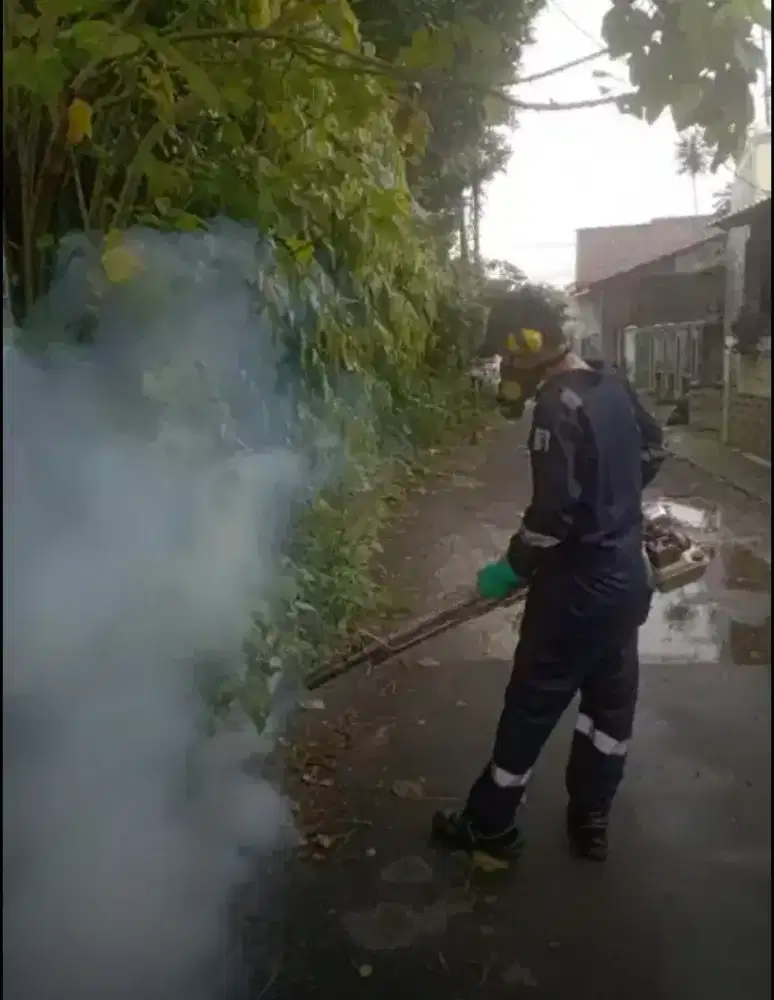 Pembasmi Hama & Cleaning