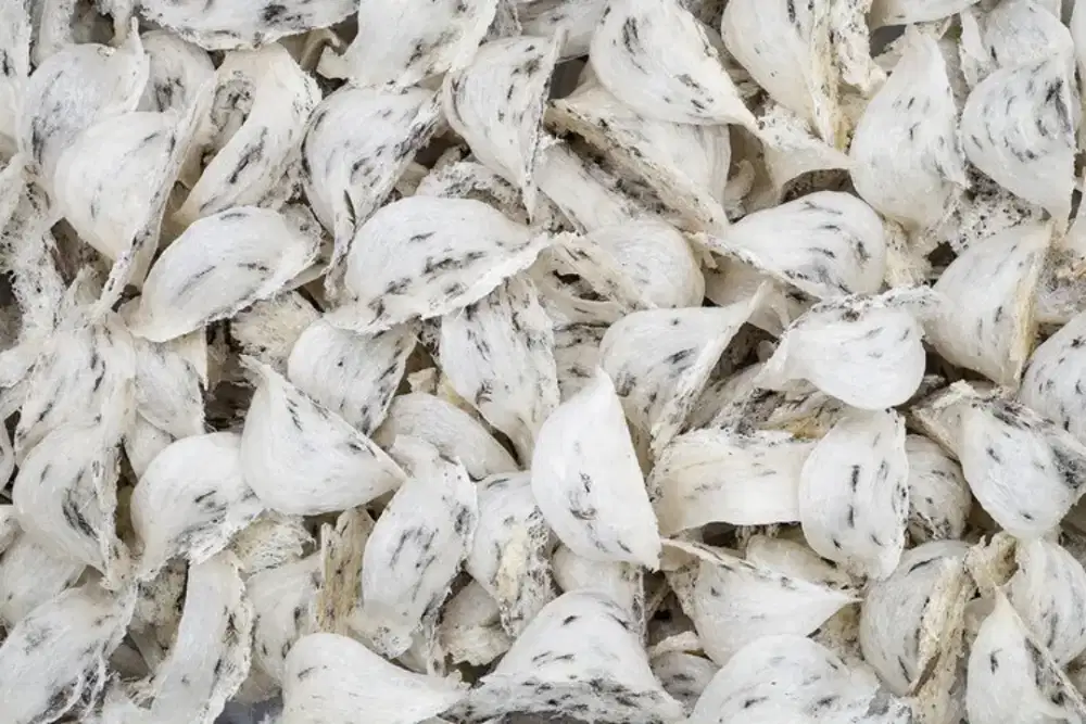 LOKER AKUNTANSI (PERUSAHAAN MANUFAKTUR)