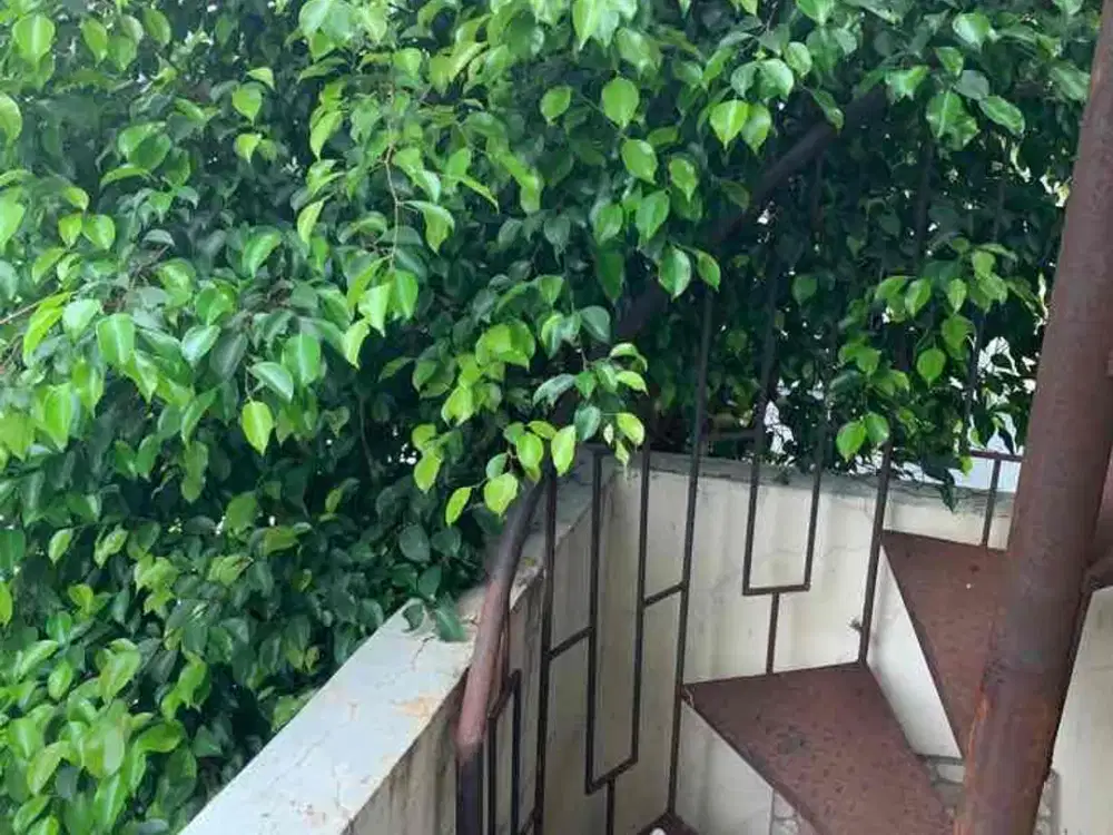 Jual Ruko di TB Simatupang, Jakarta Selatan
Lokasi strategis dekat Galeri Niaga