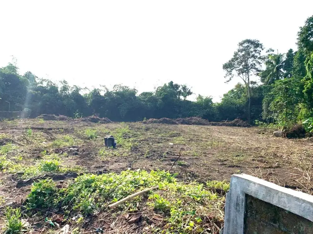 Tanah Purwomartani, 100 Jalan Raya