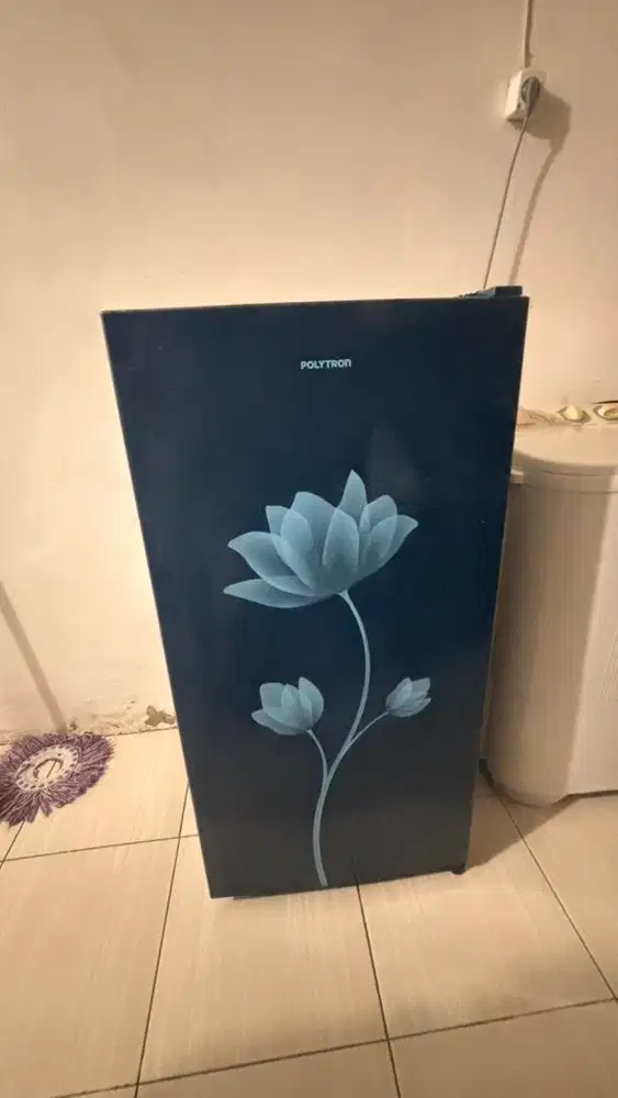 Kulkas polyton 1 pintu