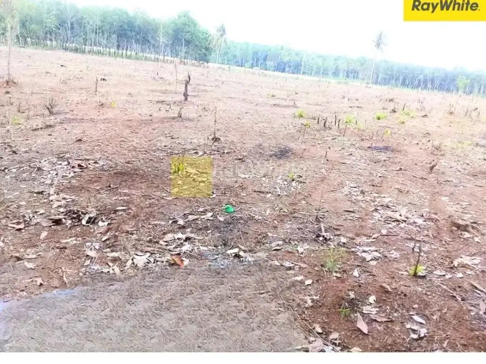 DIjual Tanah DI RUlung Raya, Natar, Lampung Selatan (Kode SUL : 3467)