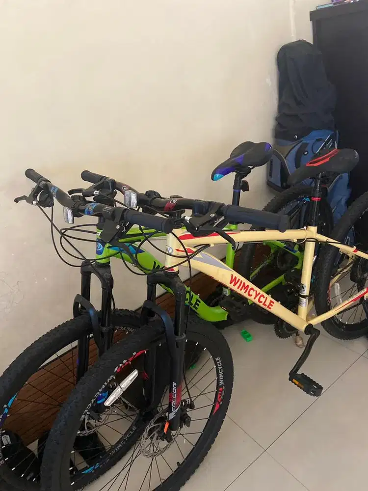 Sepeda Wimcycle Falcon
