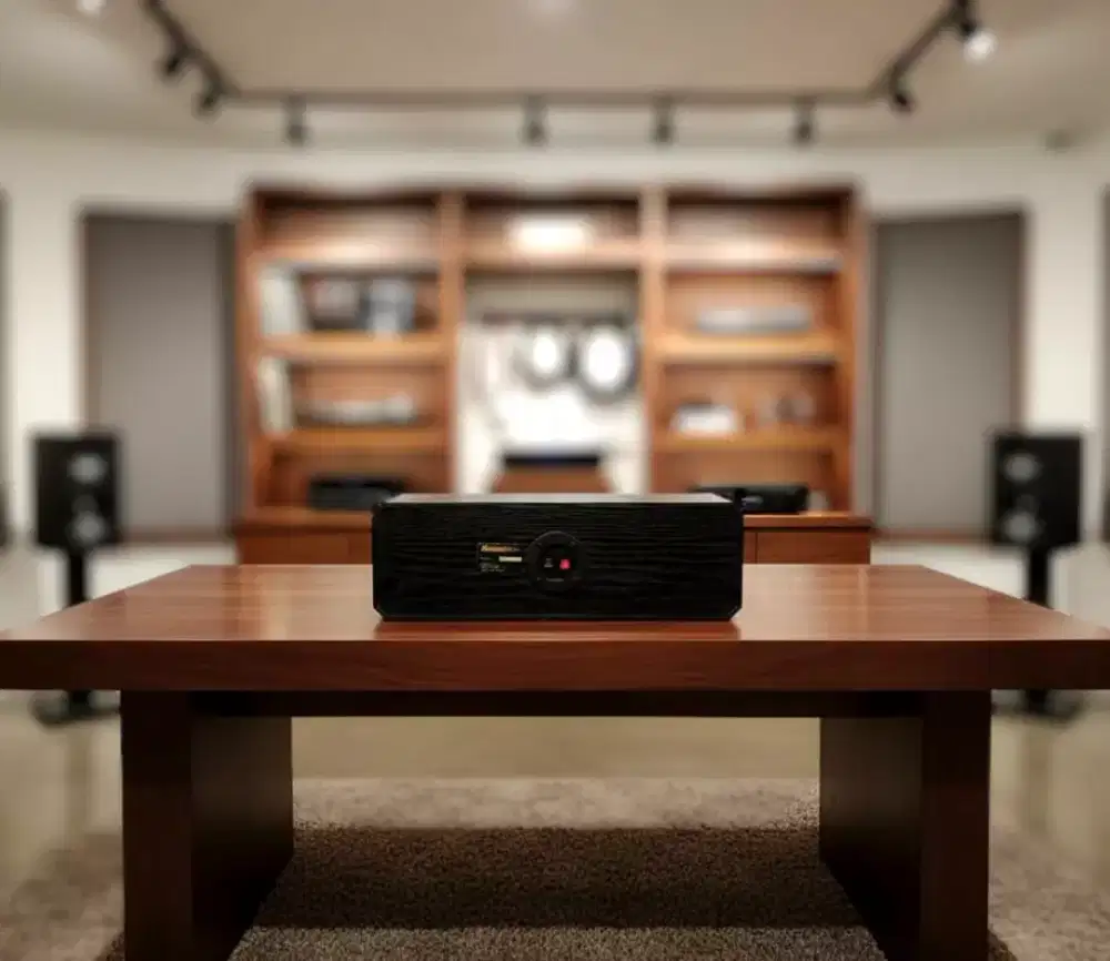 Speaker center BOSTON 525v
(5 inch)
100% ORIGINAL made in USA