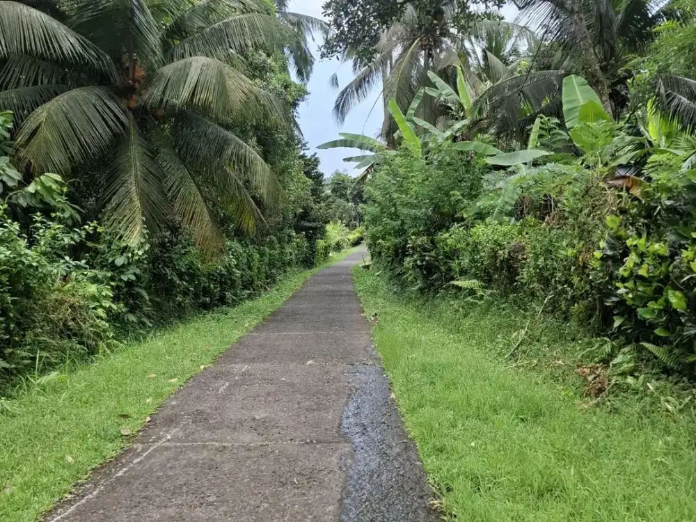 Jual tanah kebun di pinggir jalan Hotmix