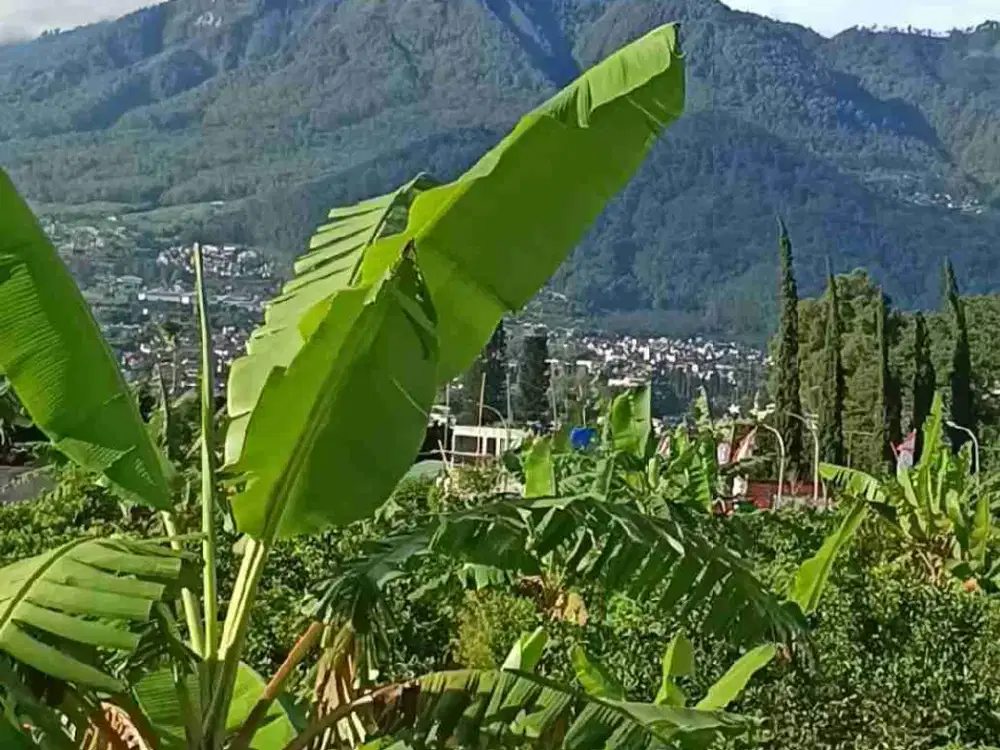 TANAH KAVLING COCOK UNTUK VILLA KOTA BATU