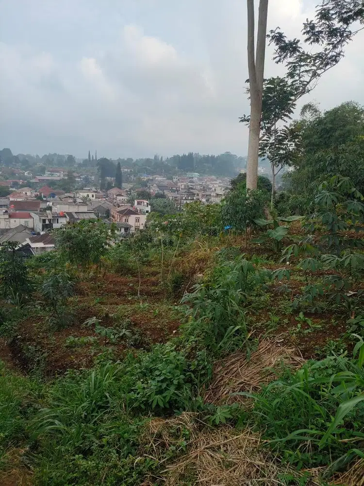 Tanah dijual di Safari Cisarua SHM