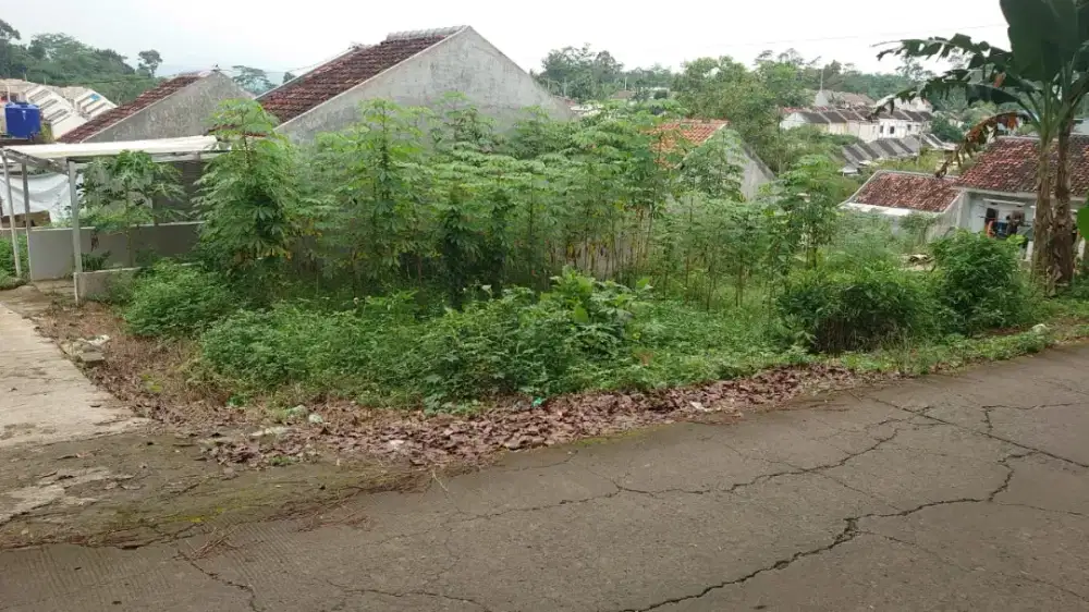 Tanah Murah Belakng sirkuit Mijen jatisari