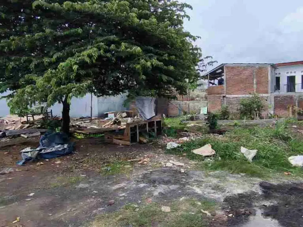 TANAH MURAH JALAN IKAN IKAN SUHAT