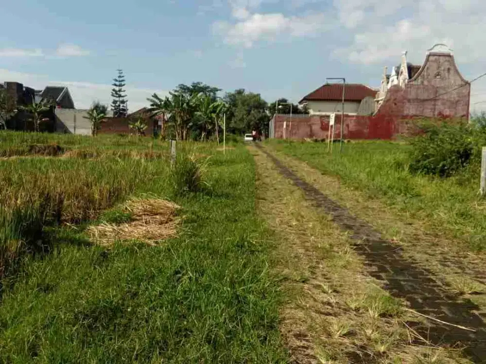 TANAH KAVLING JALAN IKAN IKAN SUHAT