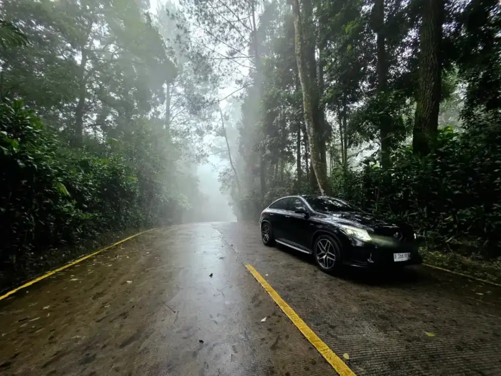 Mercy Mercedes Benz GLE43 AMG COUPE 2018