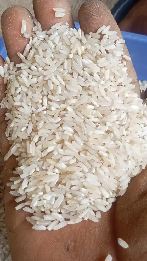 Beras rijek buat bikin lontong dan ketupat