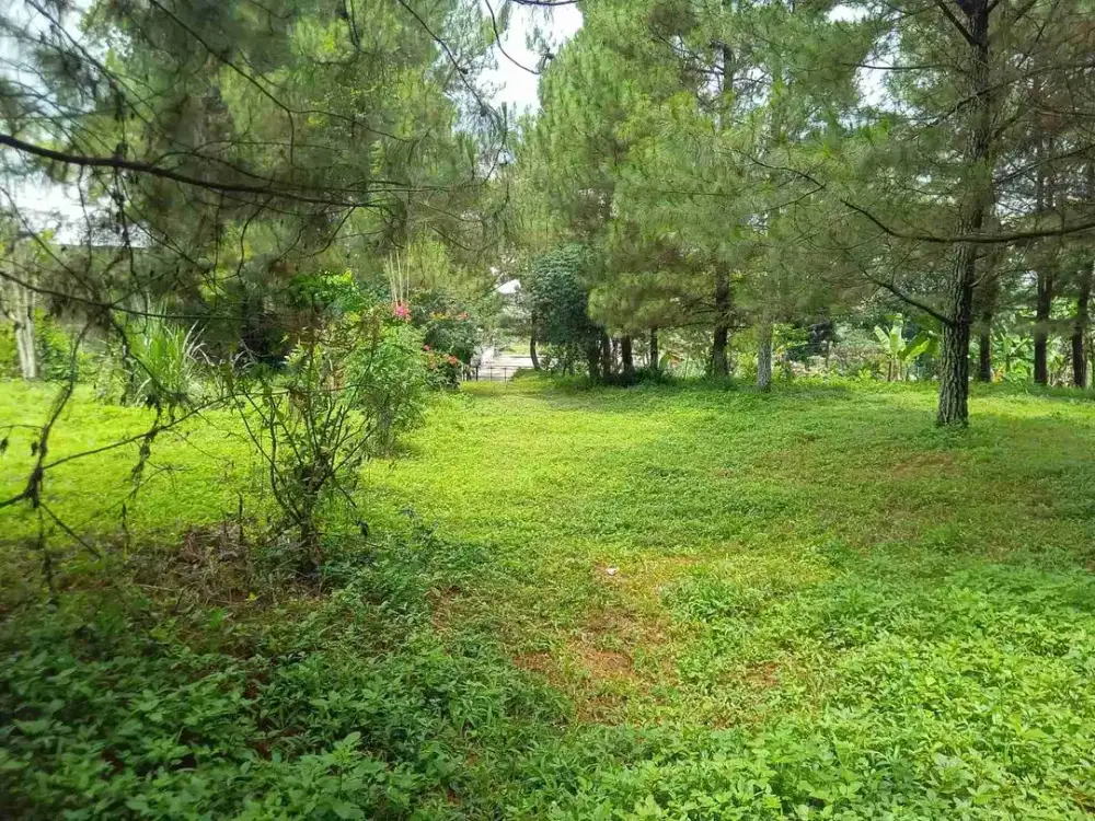 Di Jual Tanah Kavling Strategis di Padalarang 4 menit ke KBP