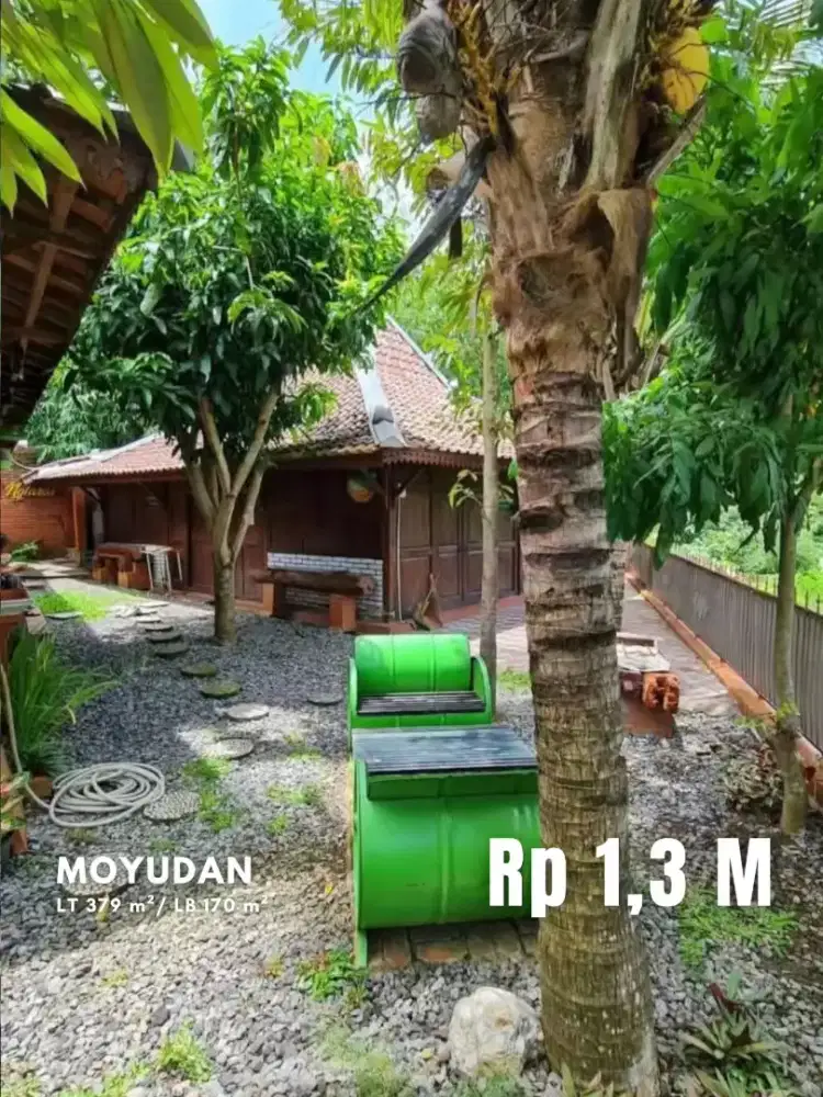 Dijual Villa Etnik Cocok Untuk Slow Living di Moyudan