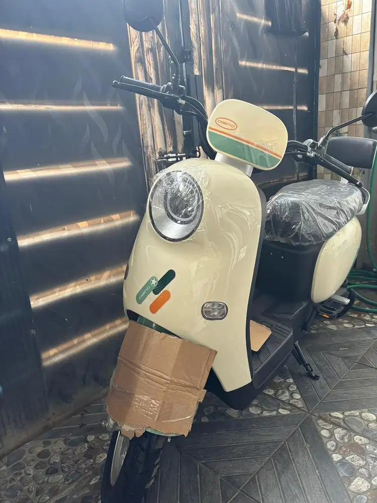 Sepeda listrik besar merk dibao swan mulus no minus