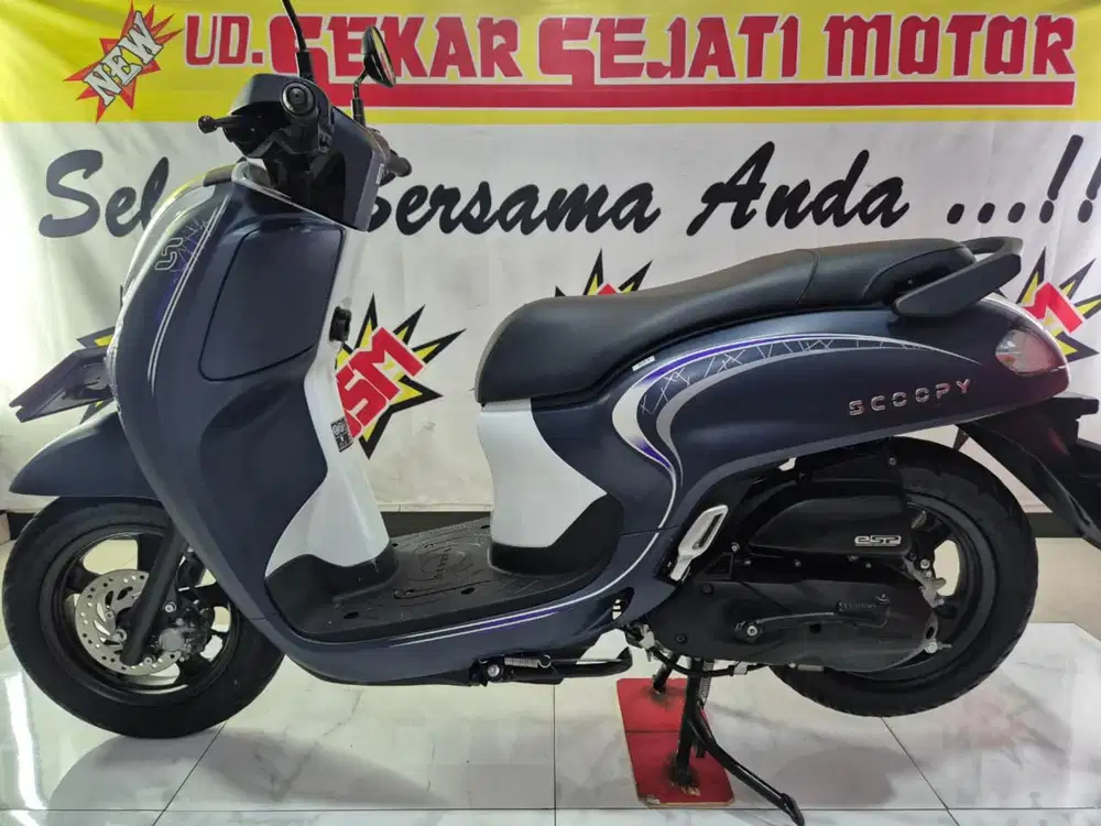 New Scoopy fashion remot 2025 plat L