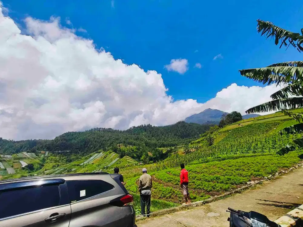 Tanah View bagus banget Kalisoro tawangmangu