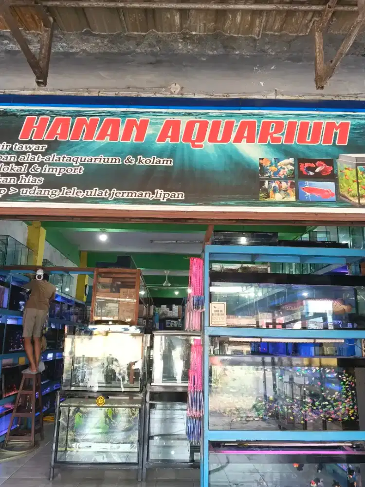 Lowongan pekerjaan toko ikan hias